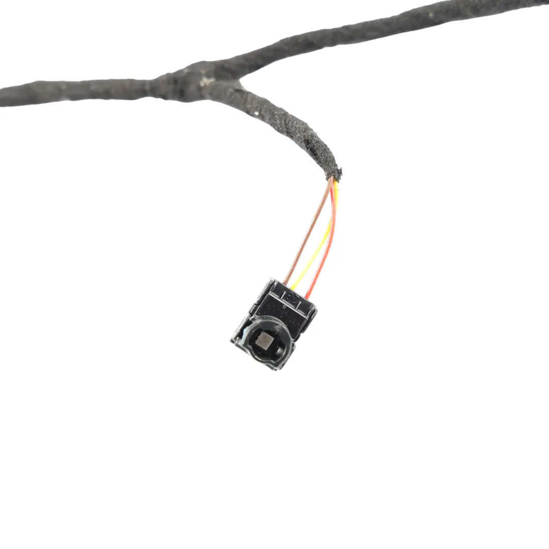 Porsche Cayenne S 92A Lámpara Ambiental Arnés Puerta Trasera Izq - SKU A2059061805 - Número de pieza A2059061805