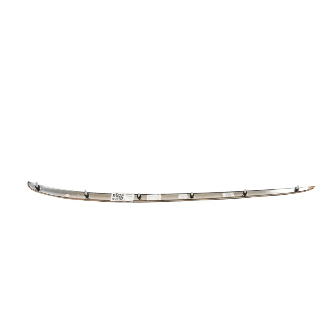 Mercedes A209 Door Panel Trim Strip Cover Right O/S - SKU A2097202222 - Part number A2097202222