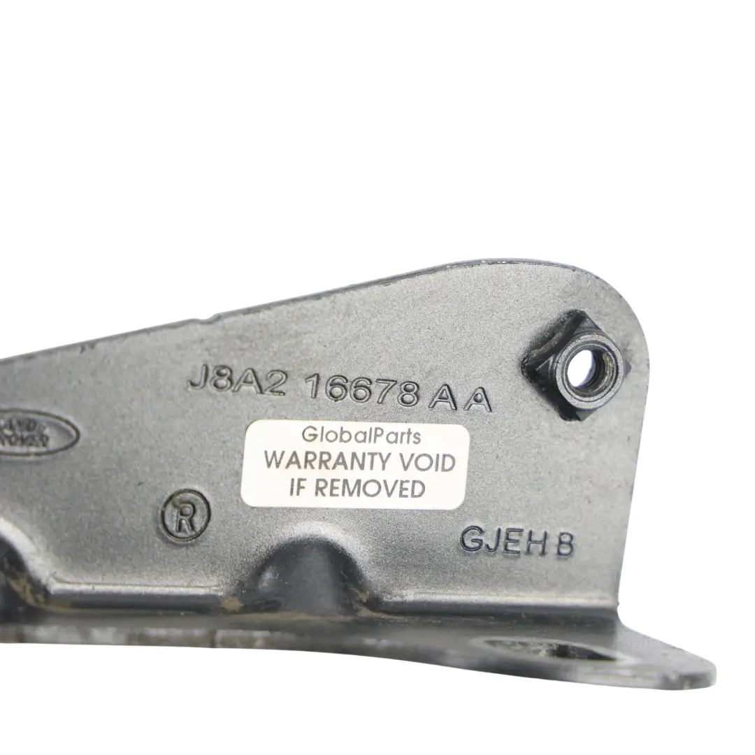 Land Rover L560 Velar Cerniera Cofano Anteriore Destra - SKU J8A2-16678-AA - Numero di parte J8A2-16678-AA