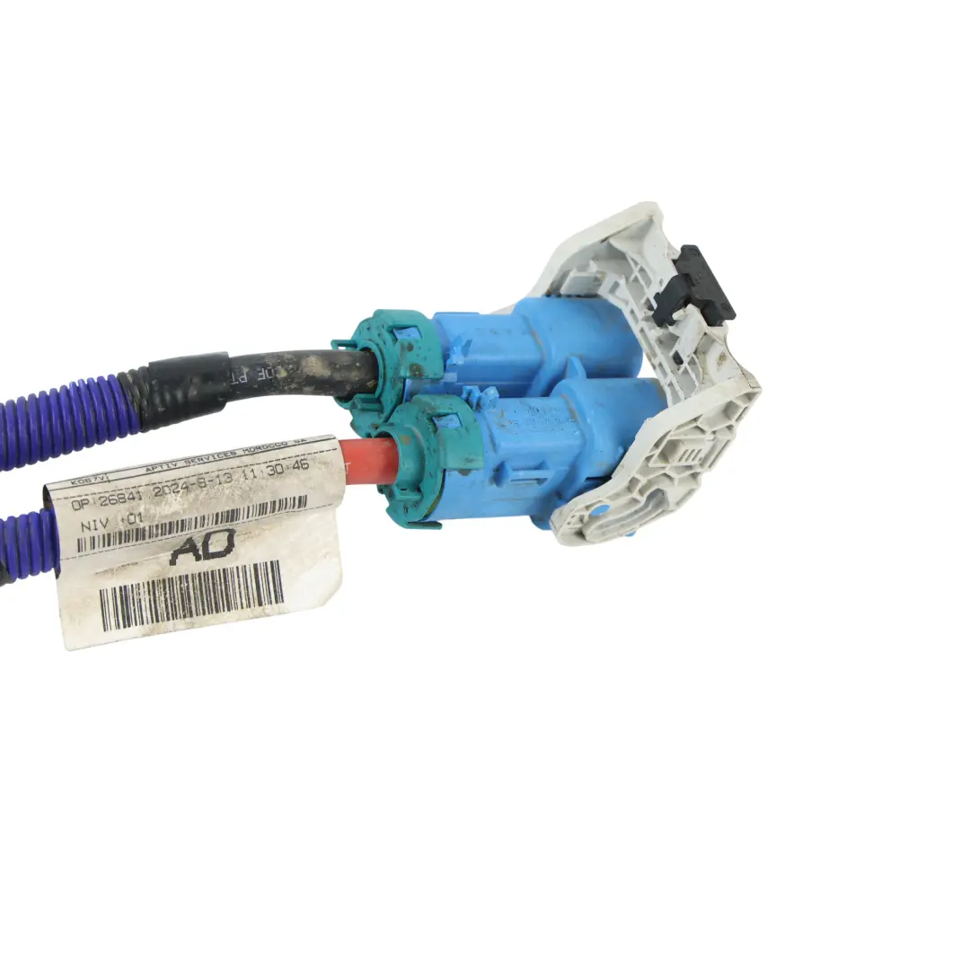 Câble Batterie MHEV Range Rover Evoque L551 pour Land Rover à propos du numéro de pièce K8D2-14N166-AD Land Rover Câble Batterie MHEV Range Rover Evoque L551 - SKU K8D2-14N166-AD - Numéro de pièce K8D2-14N166-AD