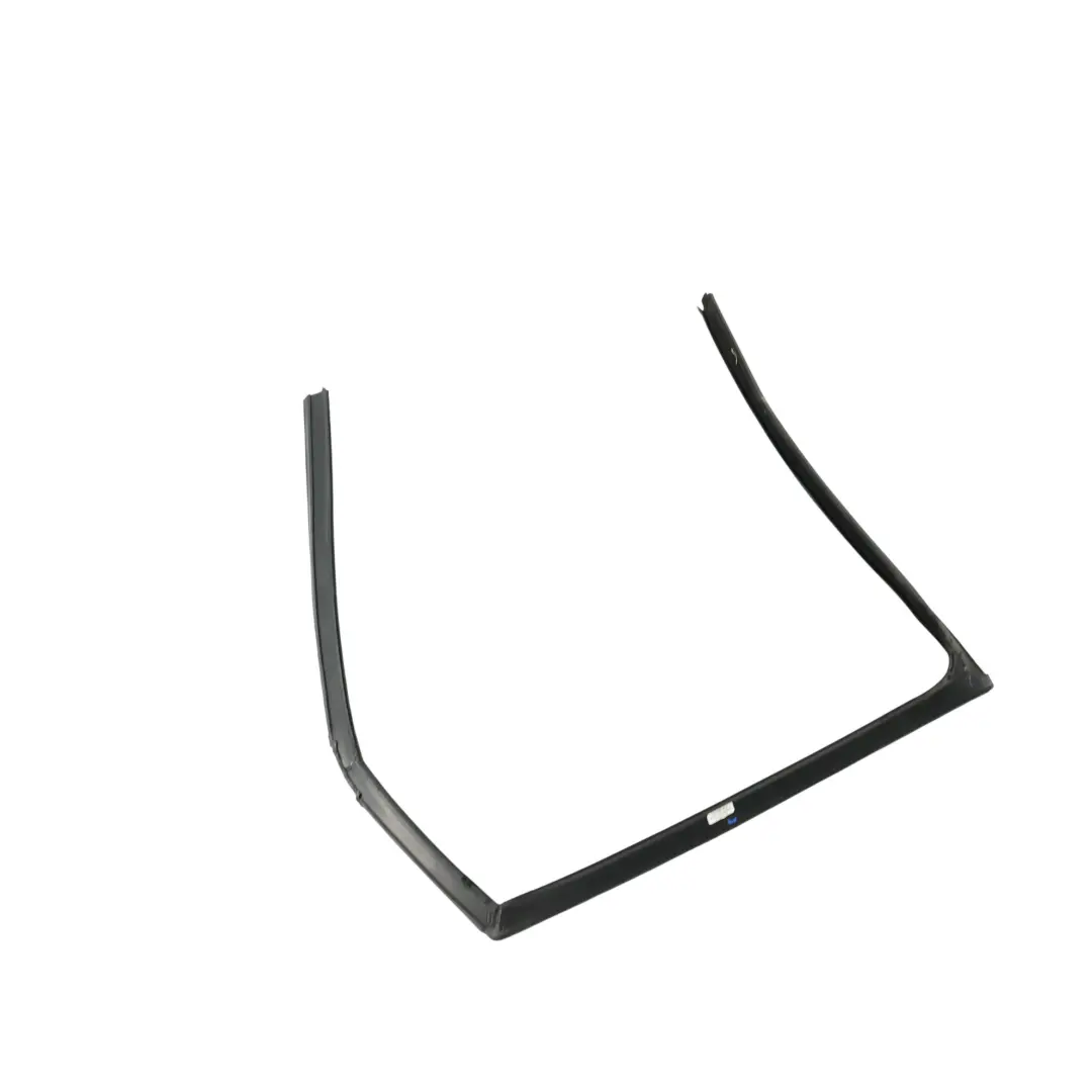 Land Rover Discovery Sport L550 Türglas Laufkanal Hinten Rechts - SKU LR058555 - Teilenummer LR058555