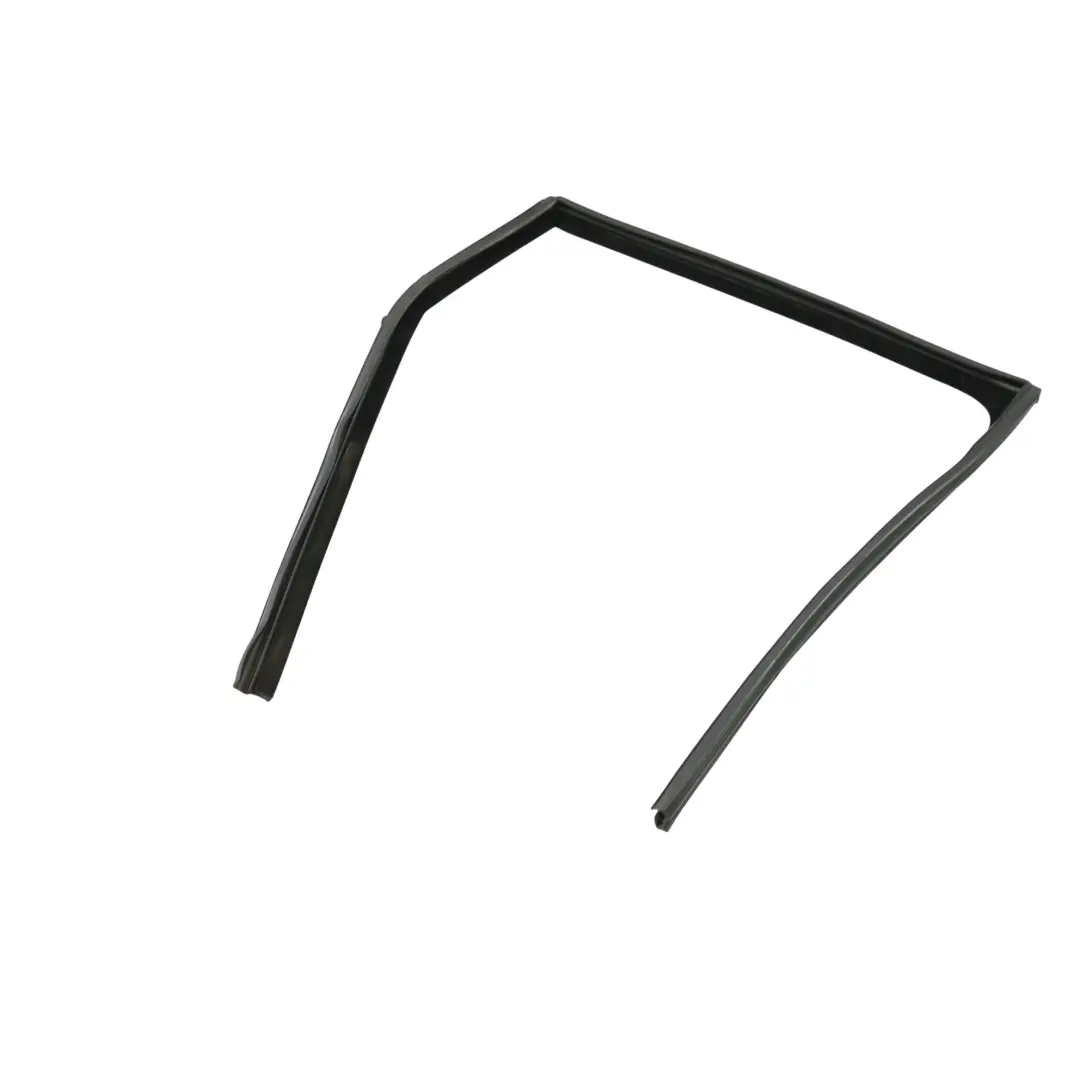 Land Rover Discovery Sport L550 Door Glass Run Duct Rear Right O/S - SKU LR058555 - Part number LR058555