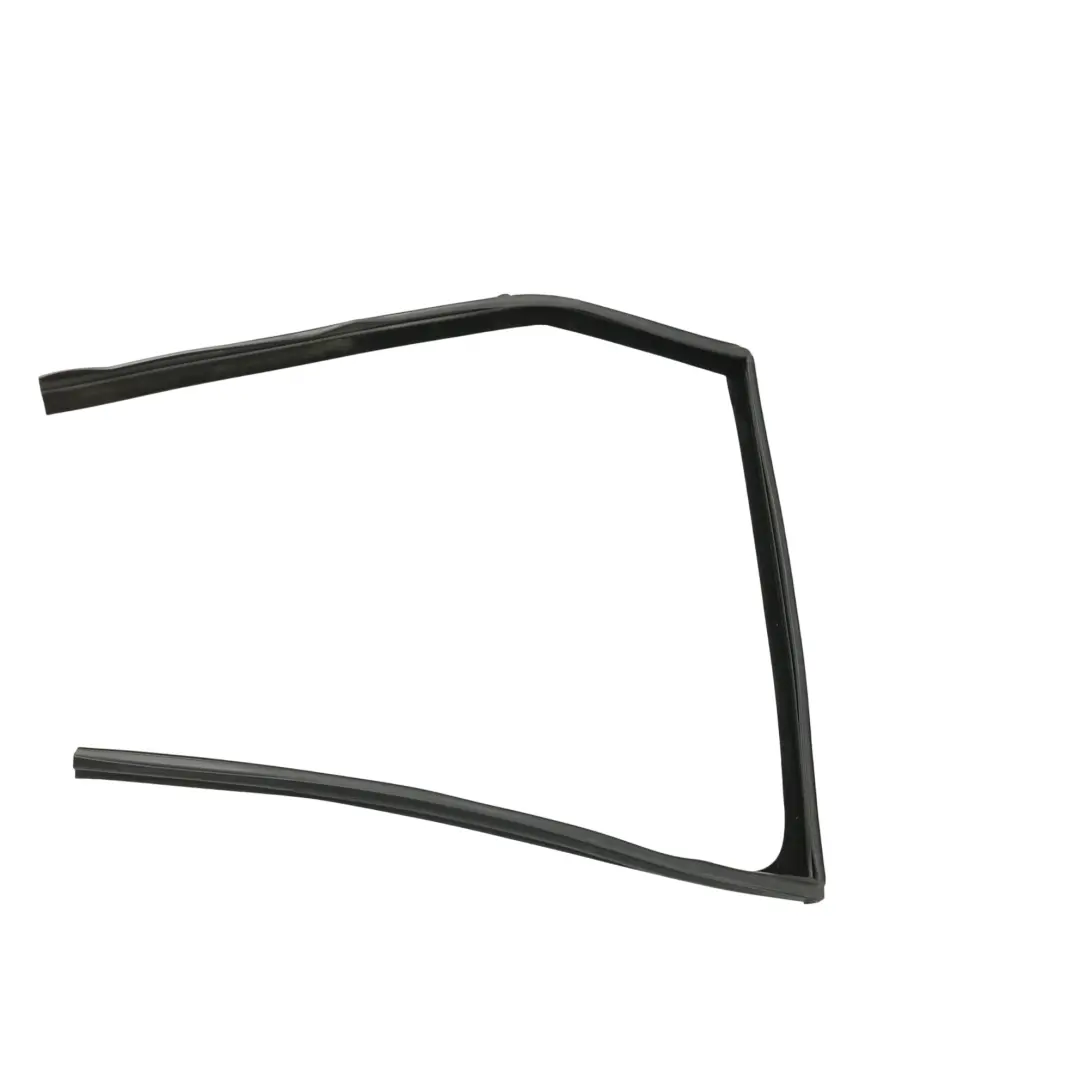 Land Rover Discovery Sport L550 Türglas Laufkanal Hinten Rechts - SKU LR058555 - Teilenummer LR058555