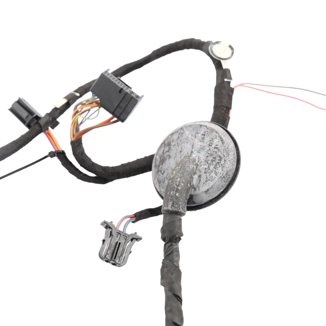 Audi A5 S5 8T Coupe Door Wiring Harness Loom Driver's Side - SKU RHD-8T2971029D - Part number 8T2971029D