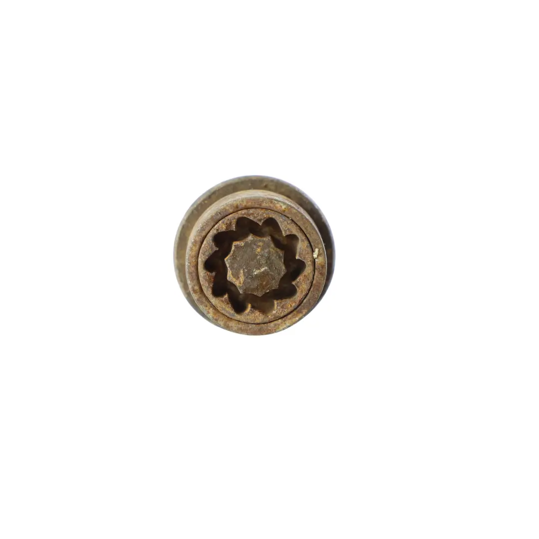 Radbolzen Set M14X1 5X35 für Volkswagen Transporter T6 Touareg mit Teilenummer 000071599 Volkswagen Transporter T6 Touareg Radbolzen Set M14X1 5X35 - SKU 000071599 - Teilenummer 000071599