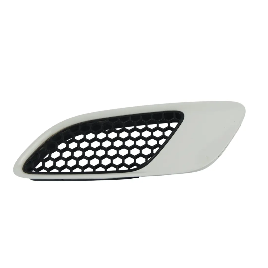 Griglia Cornice Cofano Anteriore Destra Alpinweiss 3 - 300 per BMW E90 E92 M3 con numero di parte 0036358 BMW E90 E92 M3 Griglia Cornice Cofano Anteriore Destra Alpinweiss 3 - 300 - SKU P0036358-AW - Numero di parte 0036358