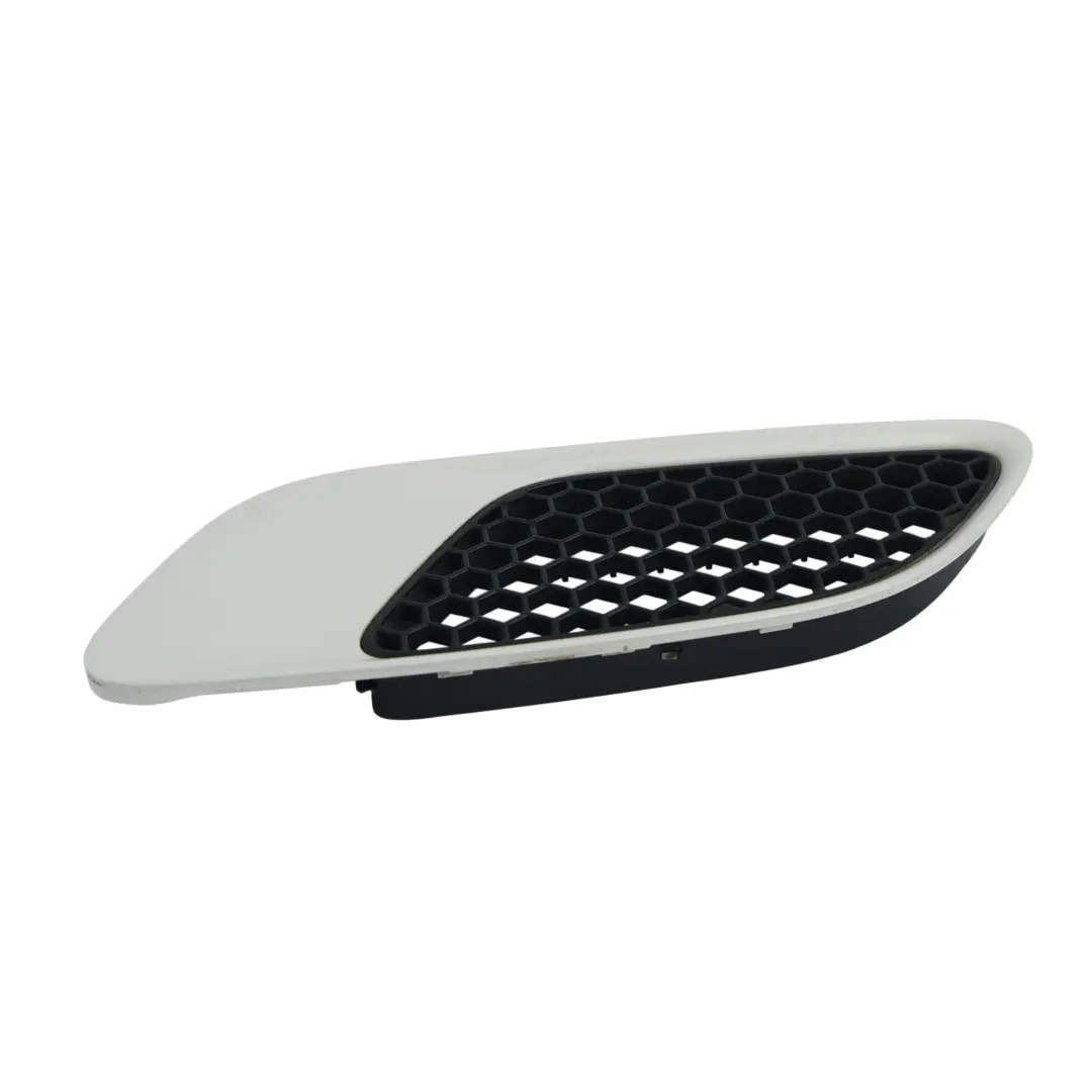 Griglia Cornice Cofano Anteriore Destra Alpinweiss 3 - 300 per BMW E90 E92 M3 con numero di parte 0036358 BMW E90 E92 M3 Griglia Cornice Cofano Anteriore Destra Alpinweiss 3 - 300 - SKU P0036358-AW - Numero di parte 0036358