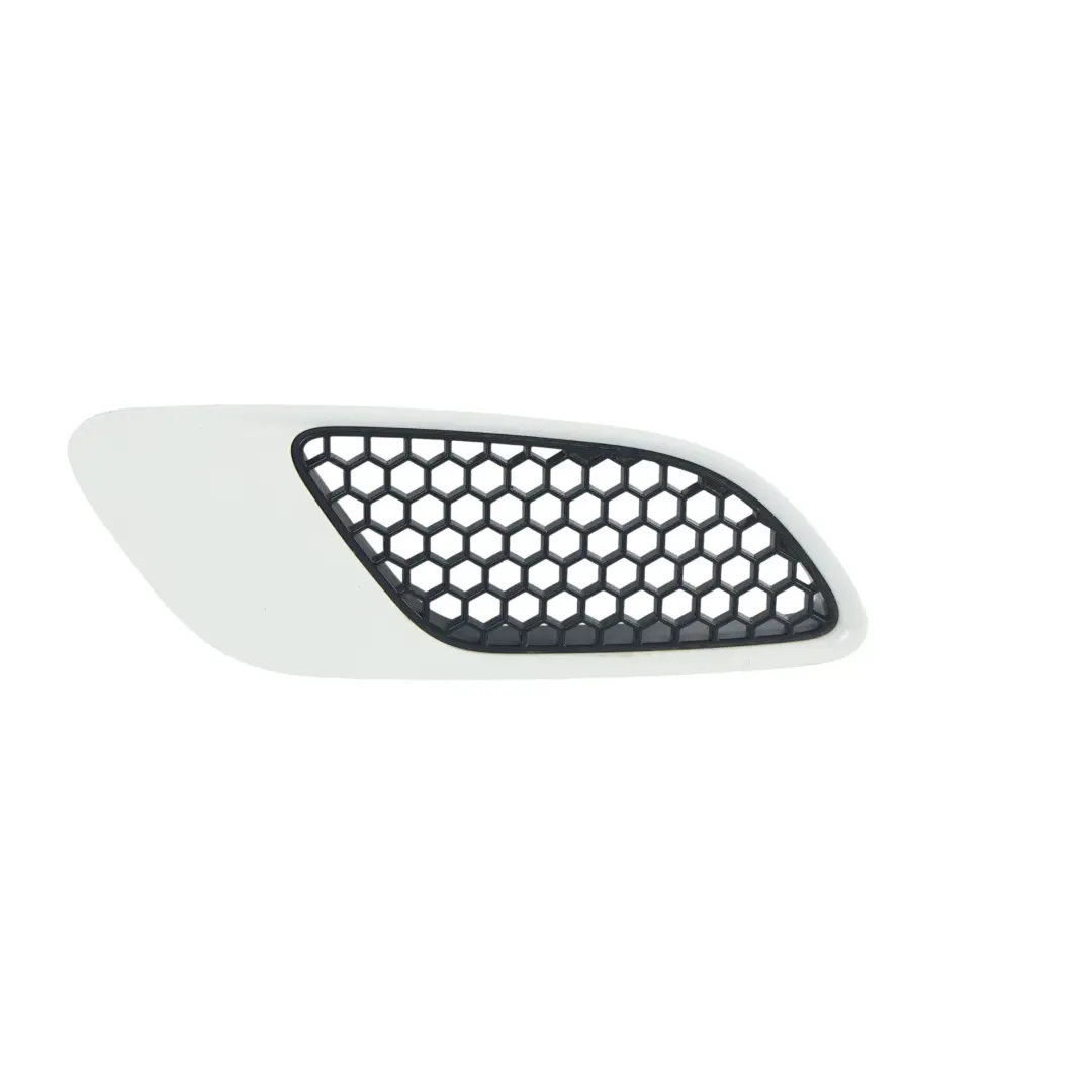 Griglia Cornice Cofano Anteriore Sinistra Alpinweiss 3-300 per BMW E90 E92 M3 con numero di parte P0036359 BMW E90 E92 M3 Griglia Cornice Cofano Anteriore Sinistra Alpinweiss 3-300 - SKU P0036359-AW - Numero di parte P0036359