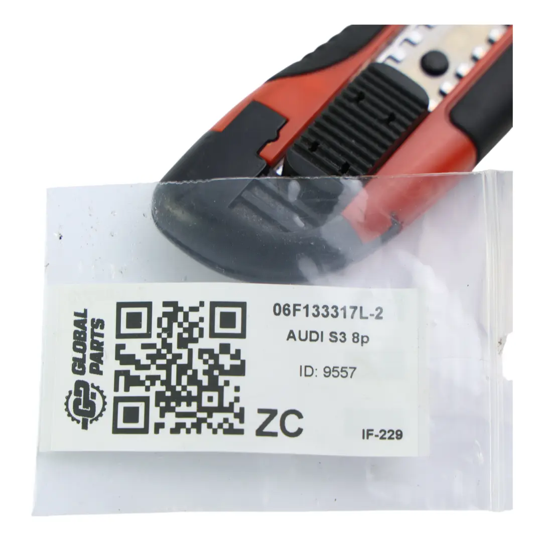 Audi A3 8P A6 C6 TT 8J Rampa Inyección Combustible 2.0 TFSI BWA - SKU 06F133317L-2 - Número de pieza 06F133317L