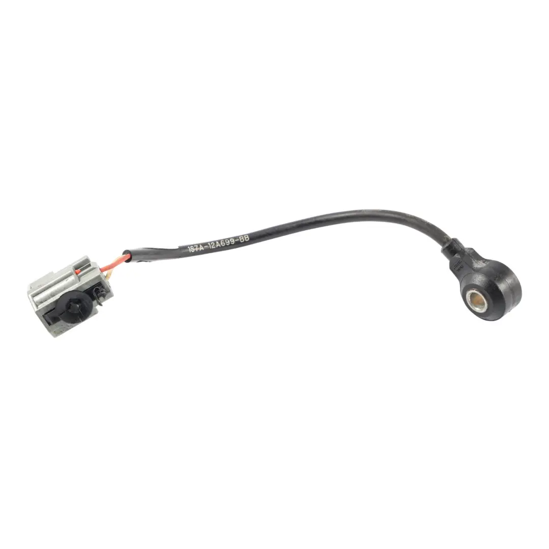 Ford Focus MK2 Centralina Sensore Detonazione 2.0 Benzina 1S7A-12A699-BB - SKU 1358032 - Numero di parte 1358032