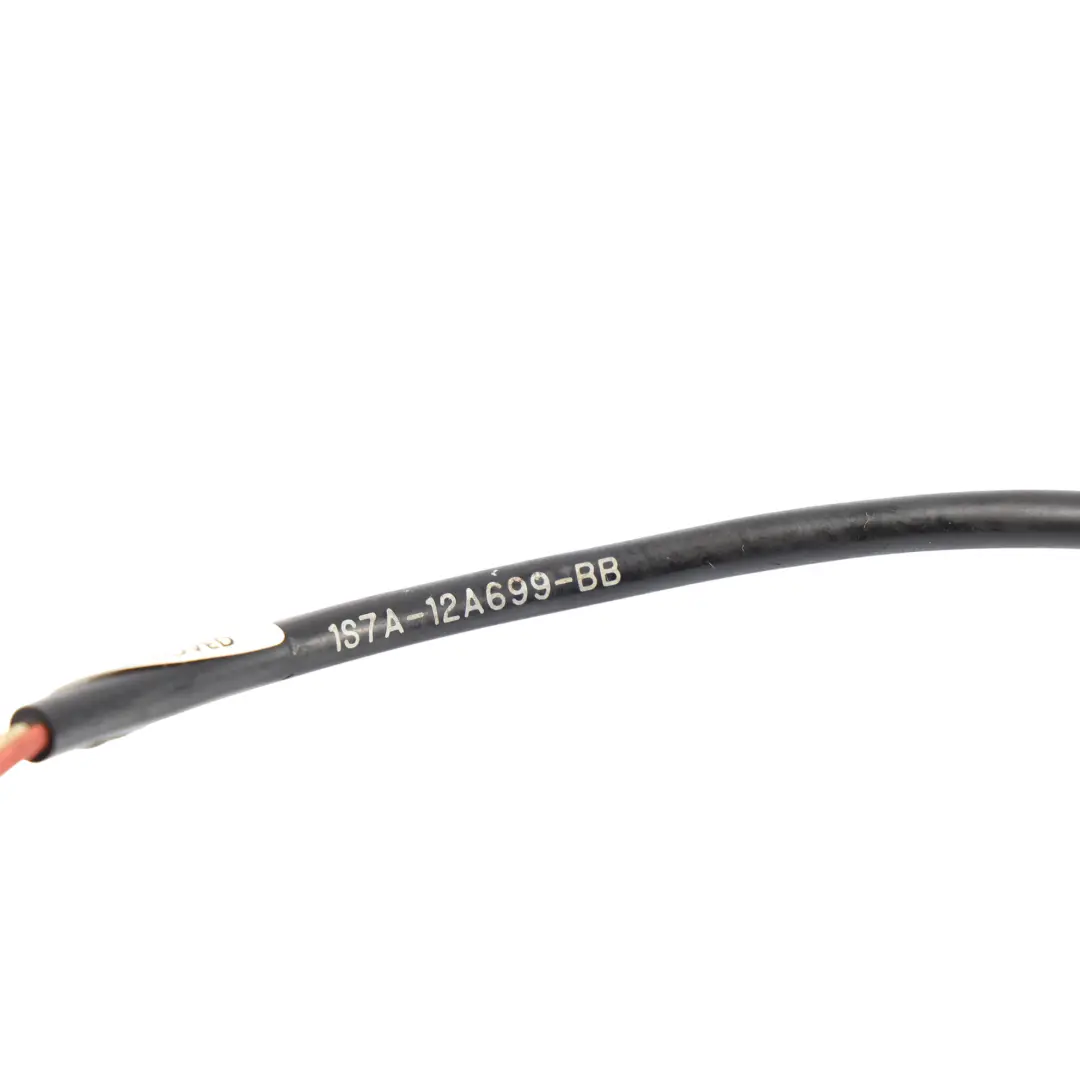MK2 Motorklopfsensor Steuergerät 2.0 Benzin 1S7A-12A699-BB für Ford Focus mit Teilenummer 1358032 Ford Focus MK2 Motorklopfsensor Steuergerät 2.0 Benzin 1S7A-12A699-BB - SKU 1358032 - Teilenummer 1358032