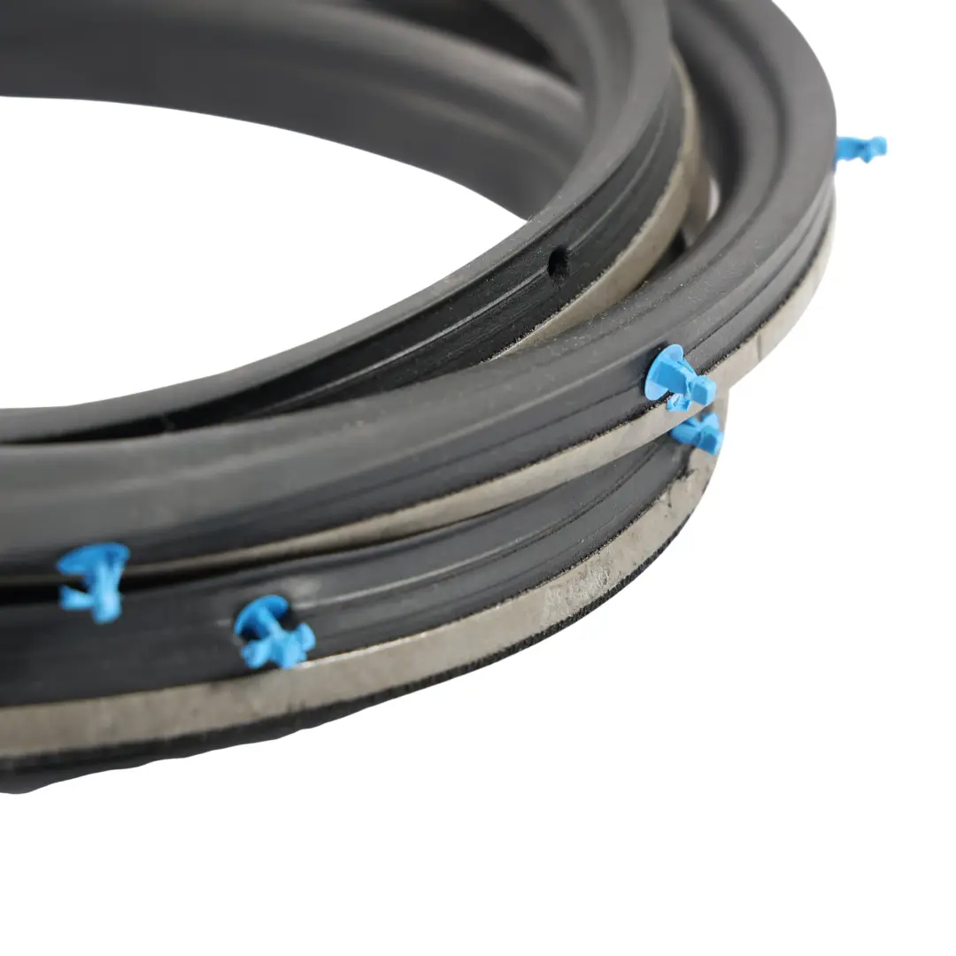 MK1 Guarnizione Porta Anteriore Destra 6M21-R20708-AJ per Ford S-Max con numero di parte 1491676 Ford S-Max MK1 Guarnizione Porta Anteriore Destra 6M21-R20708-AJ - SKU 1491676 - Numero di parte 1491676