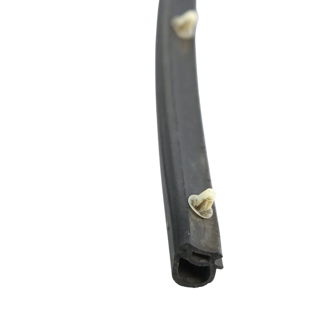 Ford Kuga MK1 C394 Burlete Puerta Delantera Interior Izquierda 8V41-S20709-AB - SKU 1514310 - Número de pieza 1514310