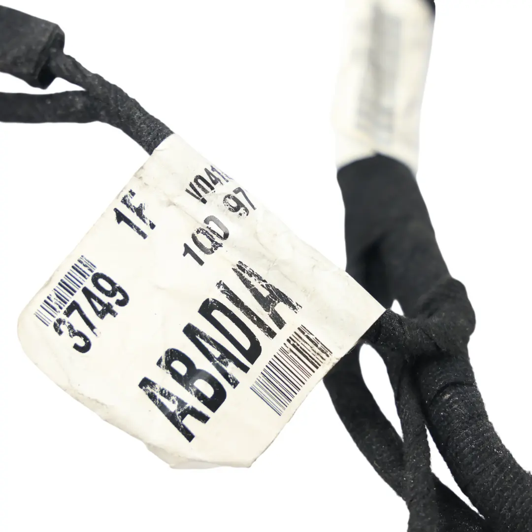1F Arnés Cable Puerta Delantera Conductor para Volkswagen Eos con número de pieza 1Q0971120AP Volkswagen Eos 1F Arnés Cable Puerta Delantera Conductor - SKU 1Q0971120AP - Número de pieza 1Q0971120AP