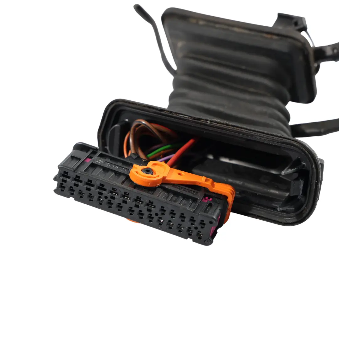 1F Cableado Arnés Cable Puerta Delantera Lado Pasajero para Volkswagen Eos con número de pieza 1Q0971121P Volkswagen Eos 1F Cableado Arnés Cable Puerta Delantera Lado Pasajero - SKU 1Q0971121P - Número de pieza 1Q0971121P