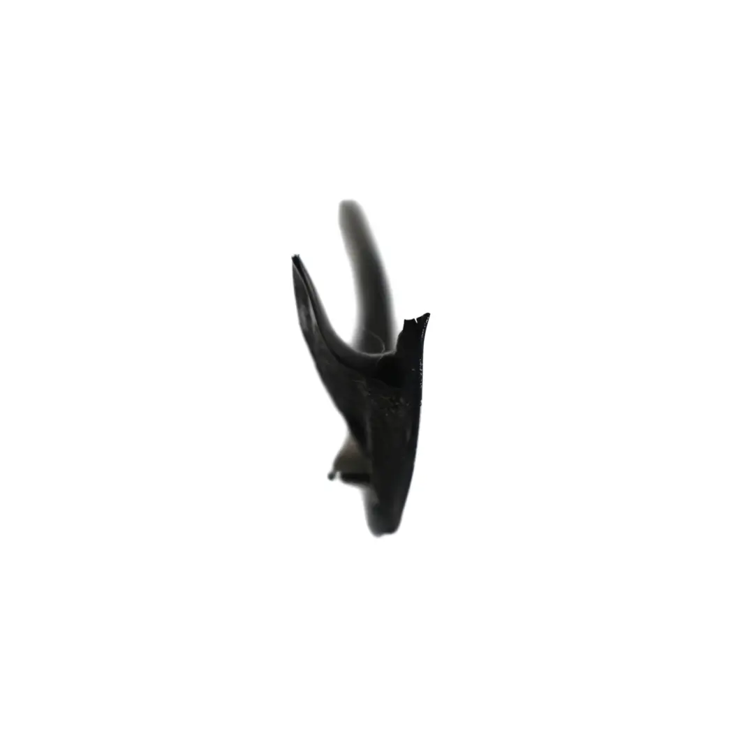 Windschutzscheibe Tropfleiste Links Titansilber Metallic für BMW X6 E71 mit Teilenummer 2147611 BMW X6 E71 Windschutzscheibe Tropfleiste Links Titansilber Metallic - SKU 2147611-TS - Teilenummer 2147611
