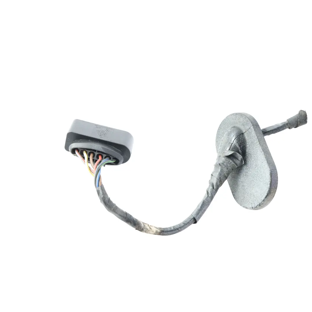 2K Cableado Enchufe Luz Trasera Derecho para Volkswagen Caddy Maxi con número de pieza 2K5945112C Volkswagen Caddy Maxi 2K Cableado Enchufe Luz Trasera Derecho - SKU 2K5945112C-2 - Número de pieza 2K5945112C