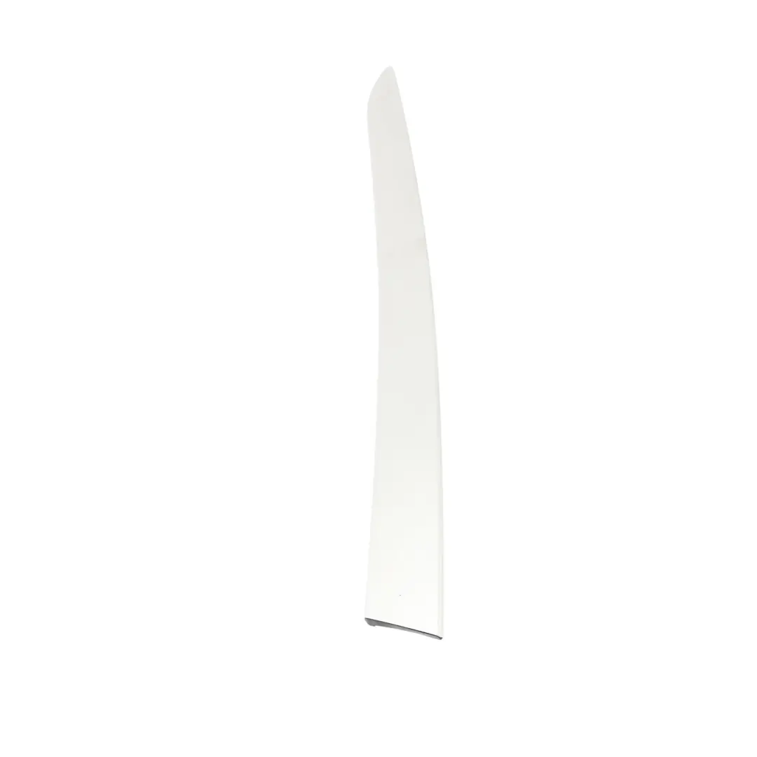 Audi A6 C6 Pannello Porta Anteriore Sinistro Argento Spazzolato - SKU 4F0867409 - Numero di parte 4F0867409