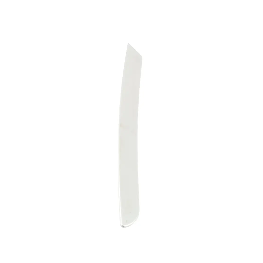 Audi A6 C6 Panel Moldura Puerta Delantera Izquierda Plata Cepillado - SKU 4F0867409 - Número de pieza 4F0867409
