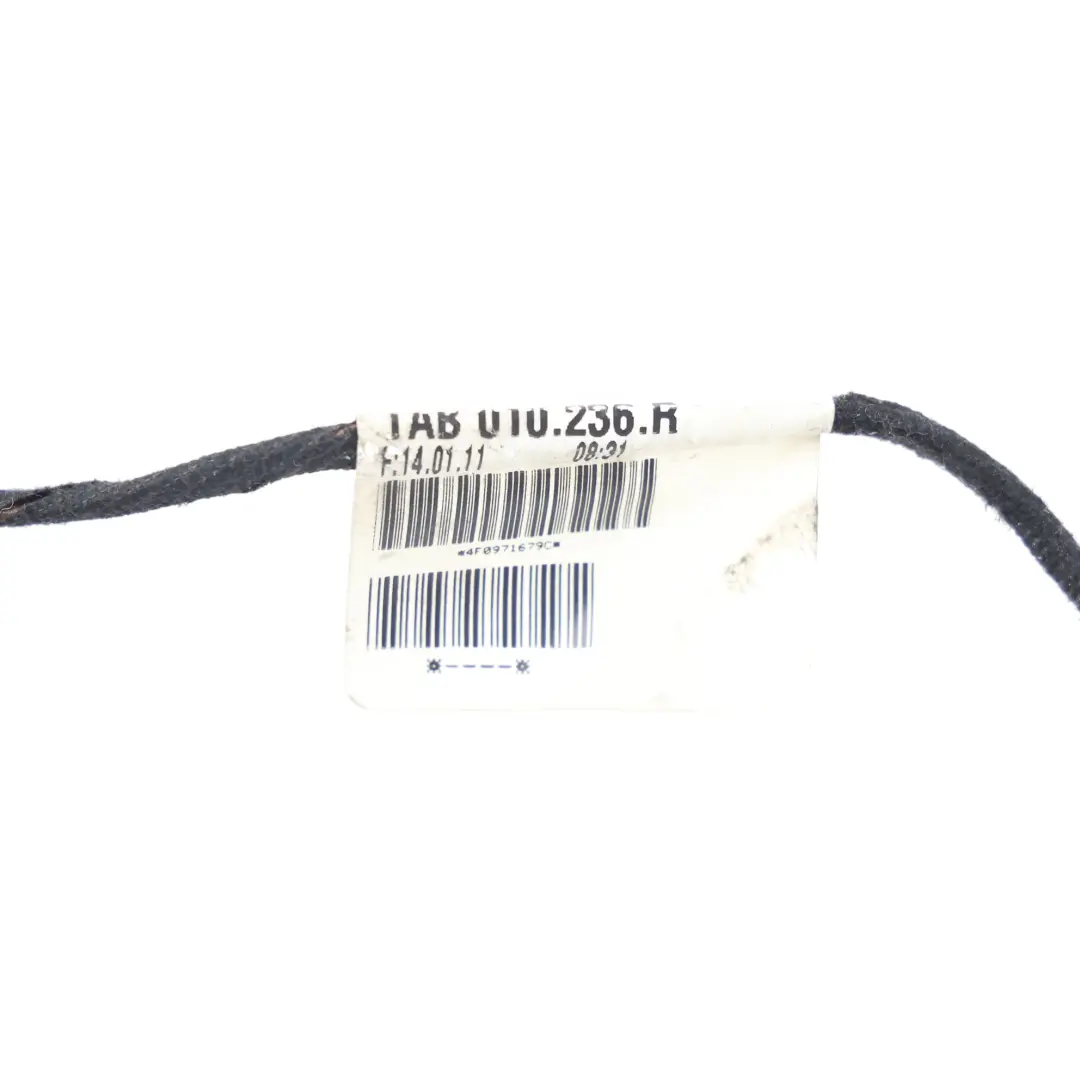Wiązka Przewodów Schowka do Audi A6 C6 o numerze 4F0971679C Audi A6 C6 Wiązka Przewodów Schowka - SKU 4F0971679C - Numer Części 4F0971679C