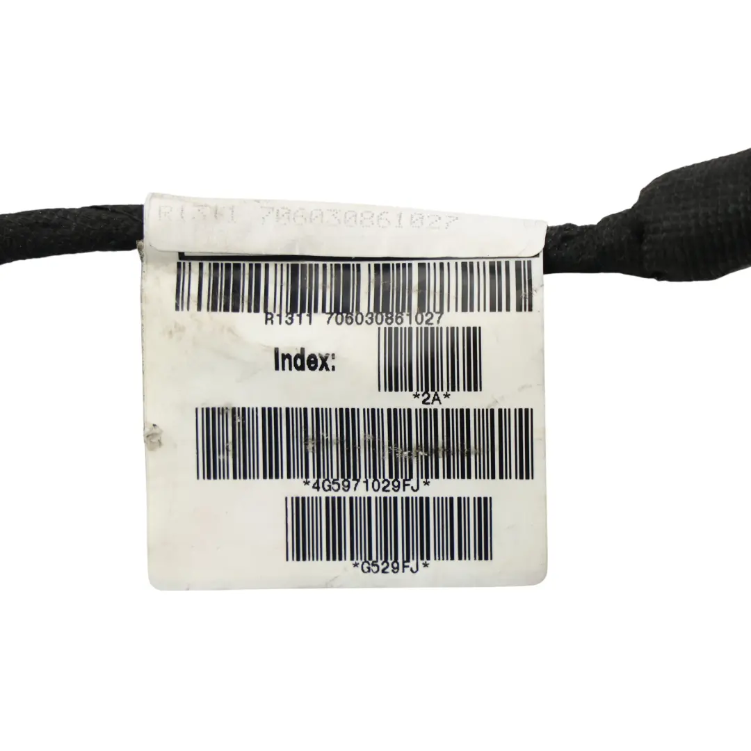 Cableado Arnés Cable Puerta Delantera Lado Conductor para Audi A6 C7 con número de pieza 4G5971029FJ Audi A6 C7 Cableado Arnés Cable Puerta Delantera Lado Conductor - SKU 4G5971029FJ - Número de pieza 4G5971029FJ
