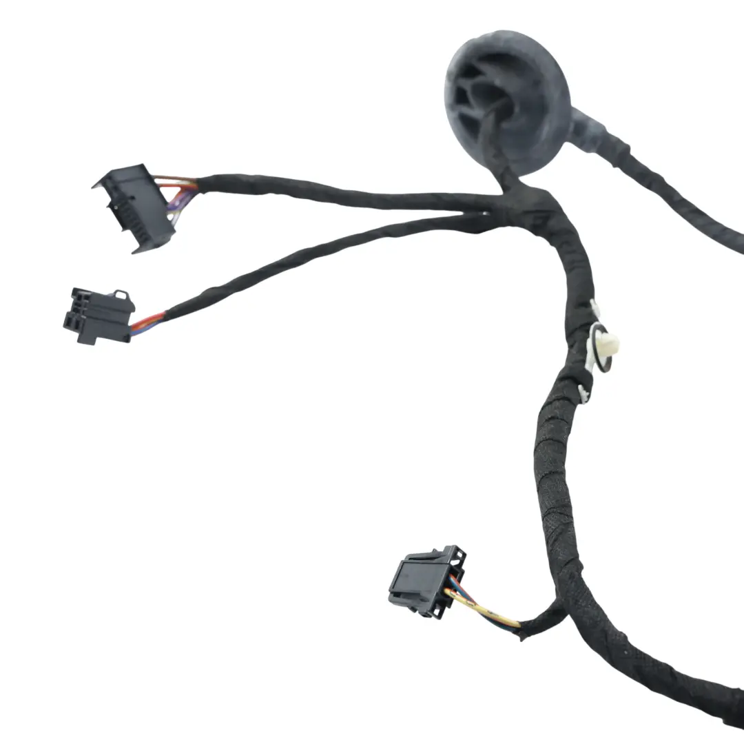 Audi A6 C7 Cableado Arnés Cable Puerta Delantera Lado Conductor - SKU 4G5971029FJ - Número de pieza 4G5971029FJ