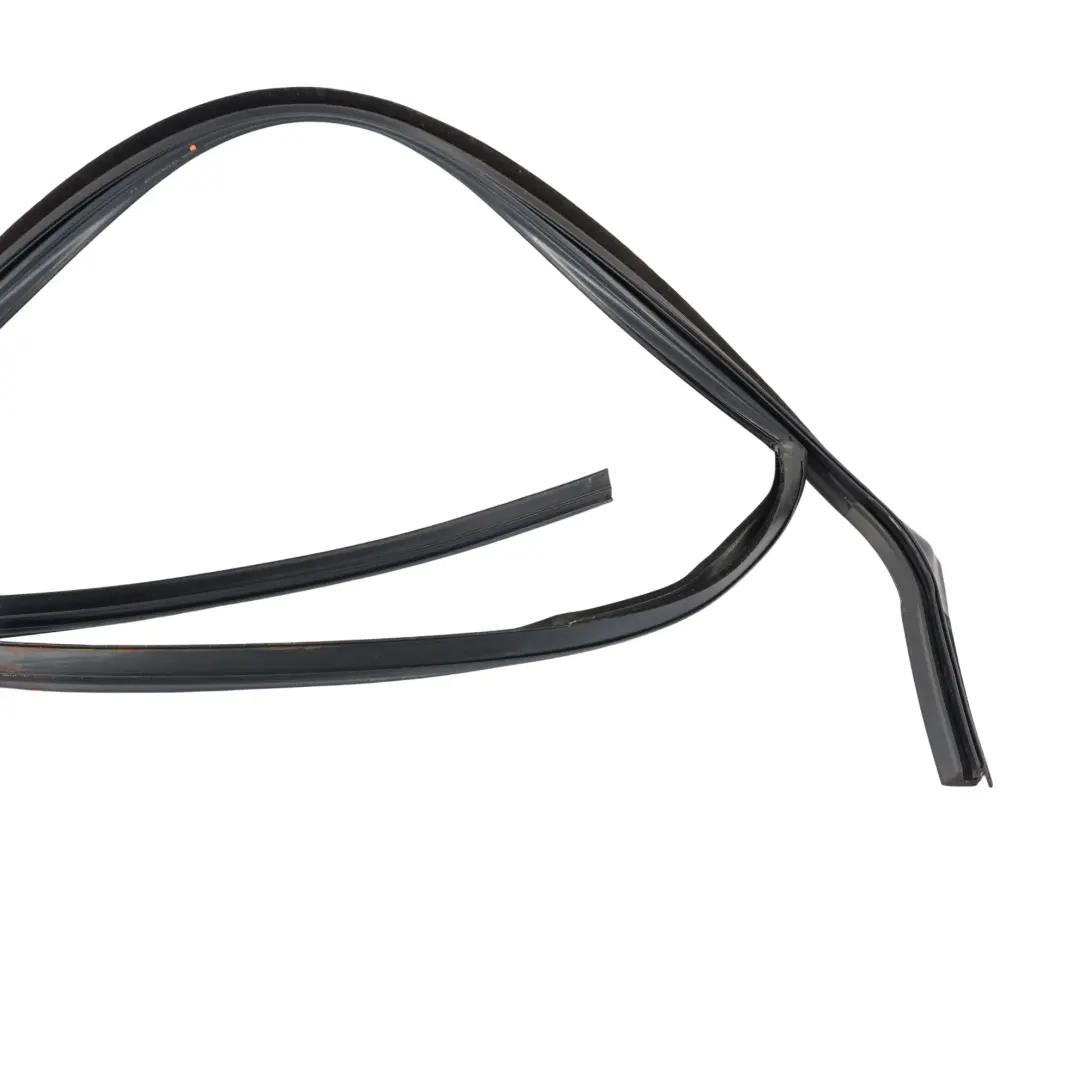 Guarnizione Vetro Porta Anteriore Sinistra per Ford Focus Titanium con numero di parte 4M51-A21511-A Ford Focus Titanium Guarnizione Vetro Porta Anteriore Sinistra - SKU 4M51-A21511-A - Numero di parte 4M51-A21511-A
