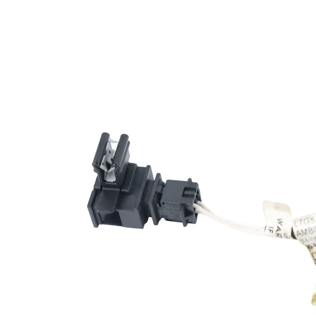 Volkswagen Tiguan 5N Türlicht Kabelbaum Vorne Beifahrerseite - SKU 5NA971395 - Teilenummer 5NA971395