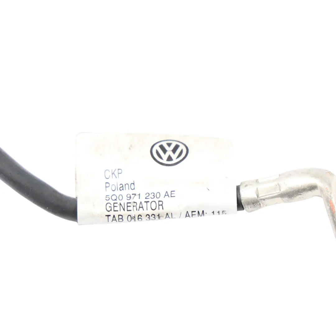 Volkswagen Golf Mk7 Audi A3 S3 8V Cableado Alternador - SKU 5Q0971230AE - Número de pieza 5Q0971230AE