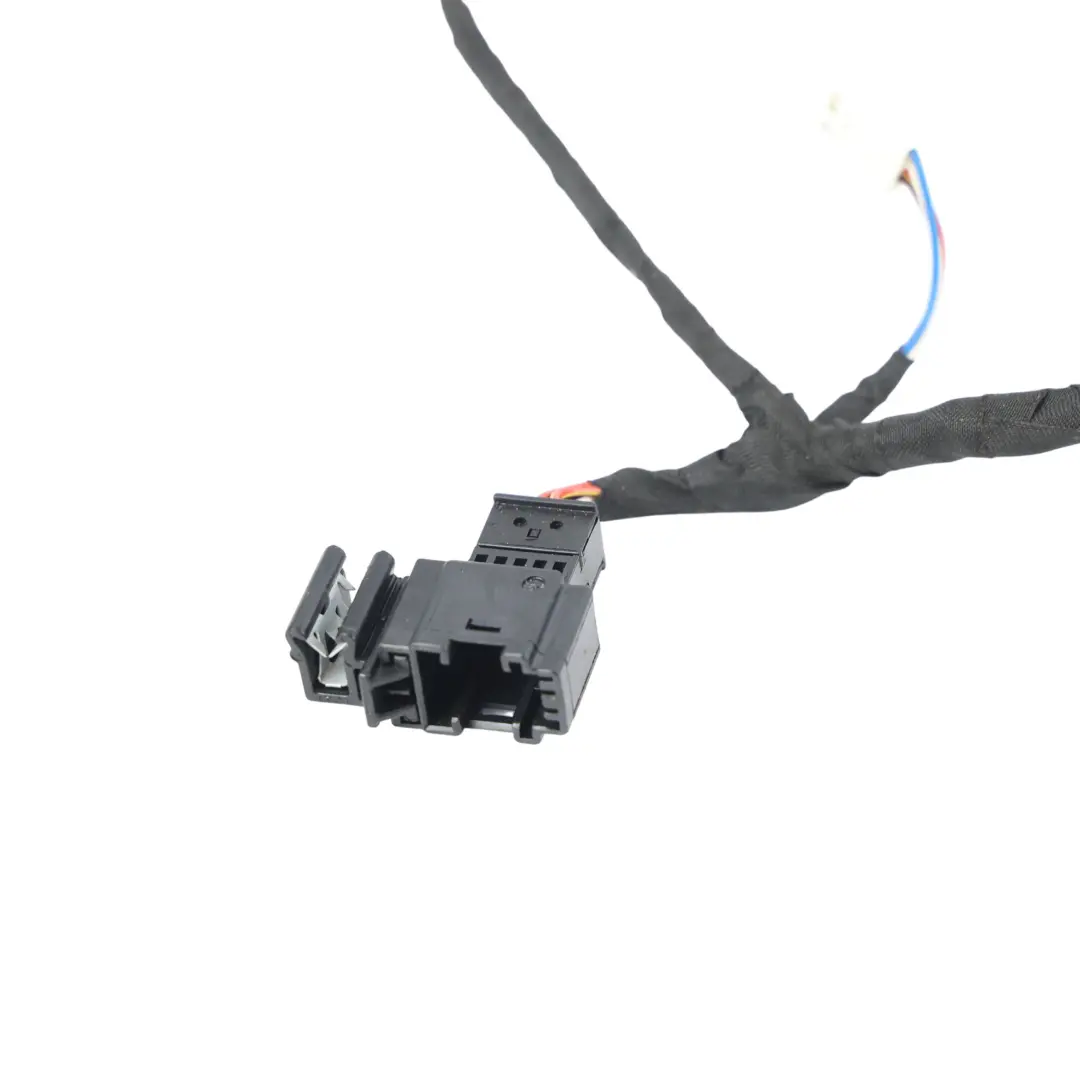 BMW X5 F15 X6 F16 Front Door Card Light Wiring Loom Left Right N/O/S - SKU 6819934 - Part number 6819934