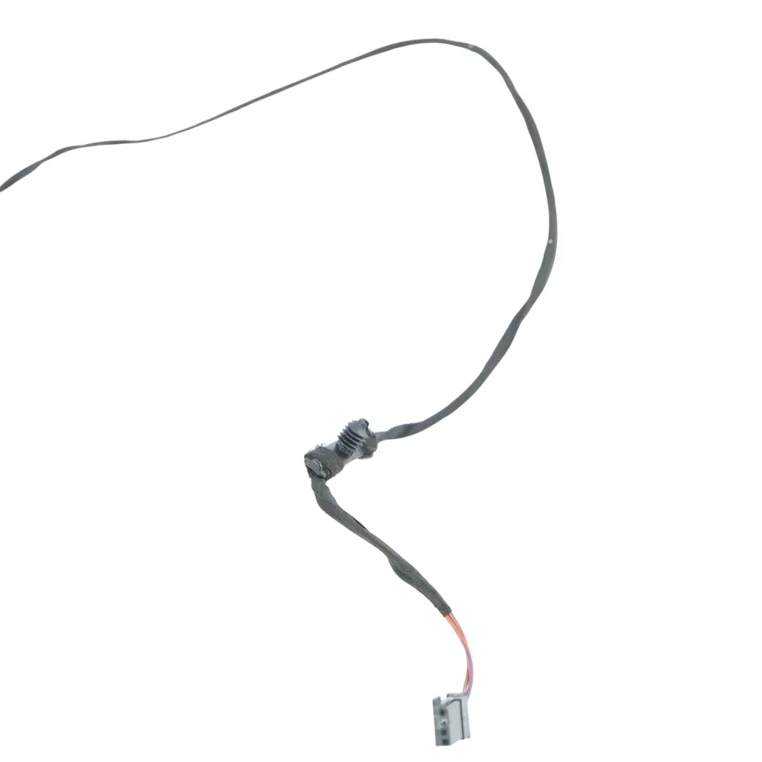 BMW F30 F31 F32 F15 F16 Câblage LED Lampe Éclairage Porte Arrière - SKU 6819936 - Numéro de pièce 6819936