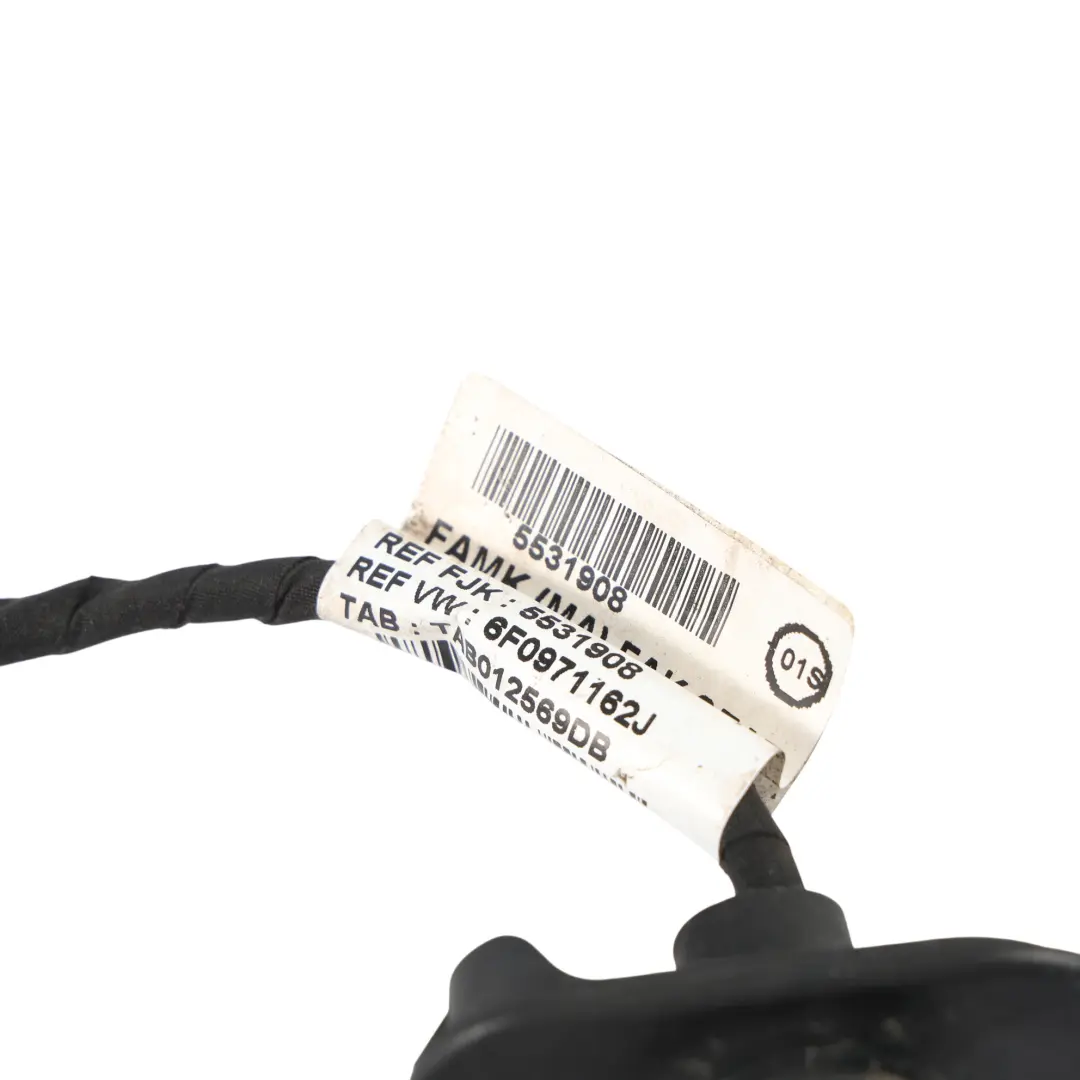 Seat Ibiza Mk5 FR Wiązka Przewodów Tylnych Prawych Drzwi - SKU 6F0971162J - Numer Części 6F0971162J