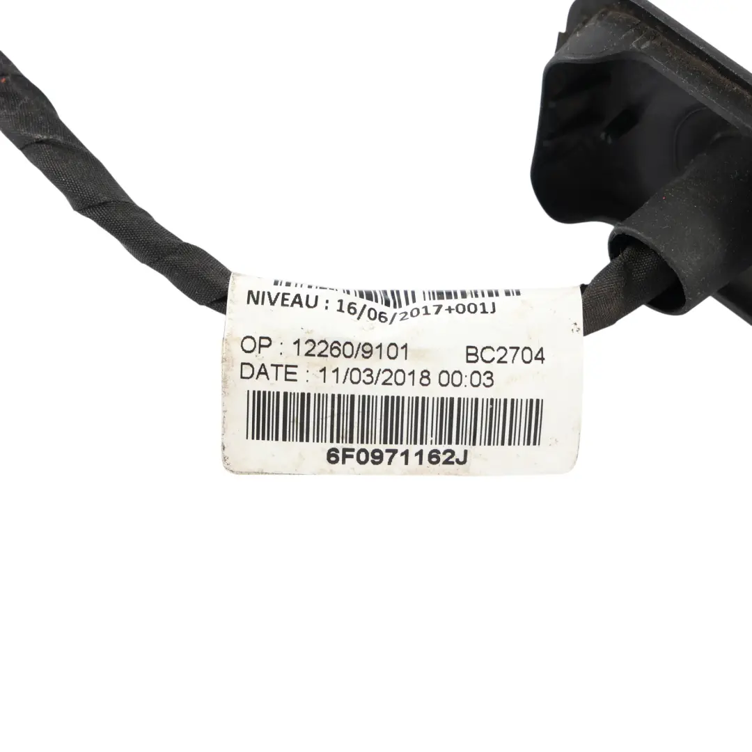 Seat Ibiza Mk5 Fr Cablaggio Porta Posteriore Destra - SKU 6F0971162J - Numero di parte 6F0971162J