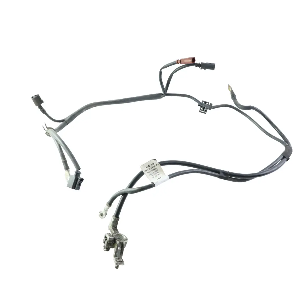 6J Skoda Fabia 5J Cablaggio Alternatore Trifase per Seat Ibiza con numero di parte 6R0971349L Seat Ibiza 6J Skoda Fabia 5J Cablaggio Alternatore Trifase - SKU 6R0971349L - Numero di parte 6R0971349L