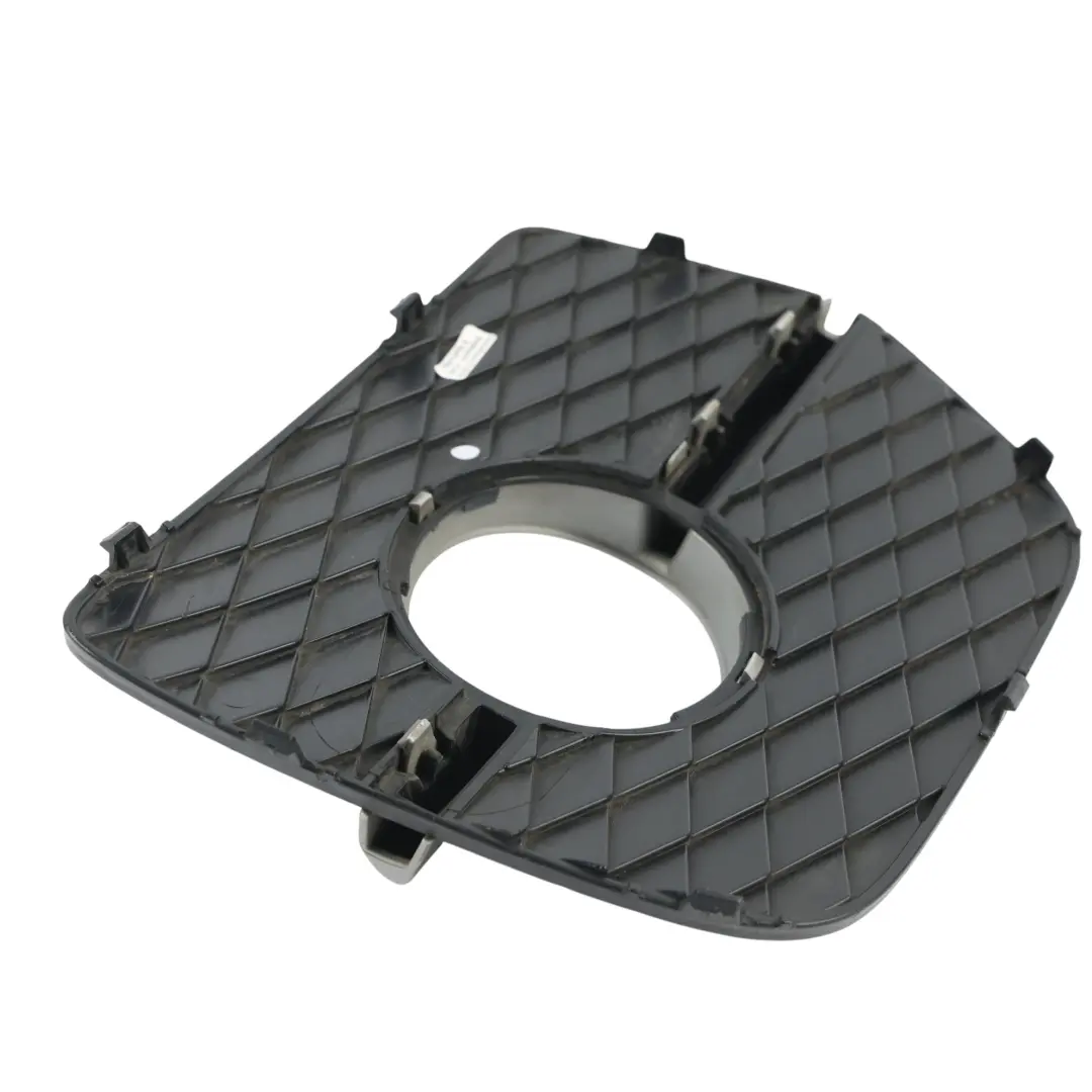 Griglia Fendinebbia Paraurti Anteriore Sinistra per BMW X6 E71 con numero di parte 7188383 BMW X6 E71 Griglia Fendinebbia Paraurti Anteriore Sinistra - SKU 7188383 - Numero di parte 7188383