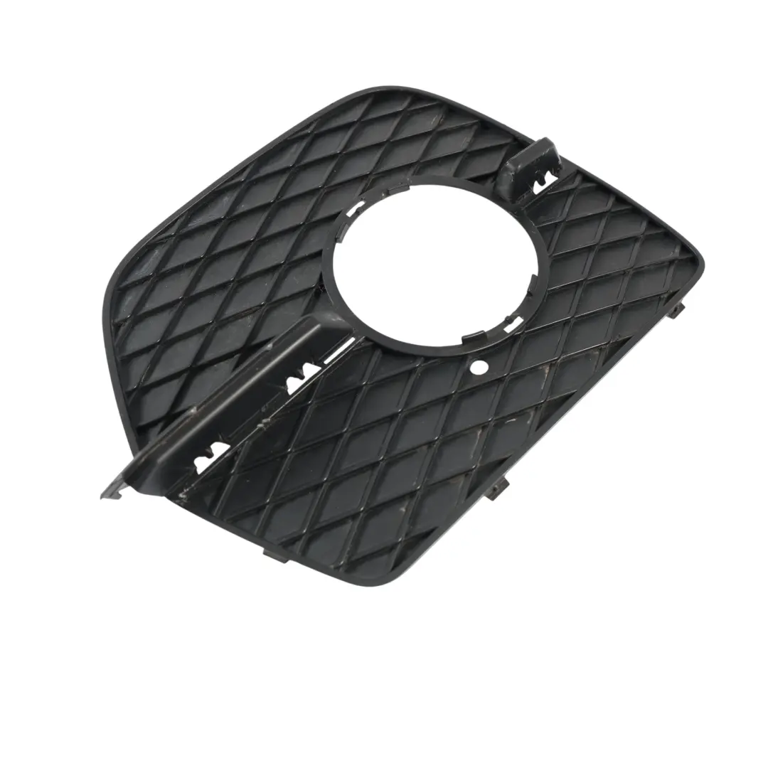 Griglia Fendinebbia Paraurti Anteriore Destra per BMW X6 E71 con numero di parte 7188384 BMW X6 E71 Griglia Fendinebbia Paraurti Anteriore Destra - SKU 7188384 - Numero di parte 7188384