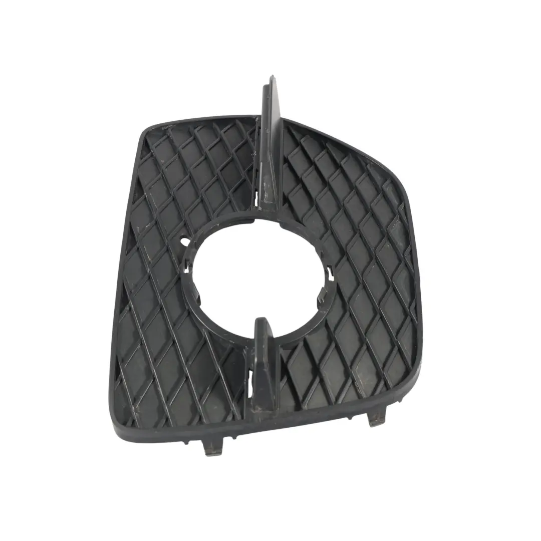Rejilla Antiniebla Parachoques Delantero Derecho para BMW X6 E71 con número de pieza 7188384 BMW X6 E71 Rejilla Antiniebla Parachoques Delantero Derecho - SKU 7188384 - Número de pieza 7188384