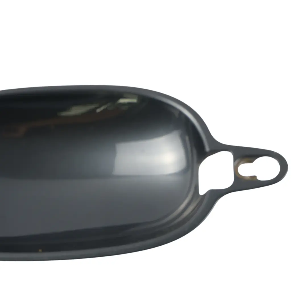 Copripiastra Maniglia Porta Posteriore Destra Grigio Platino A71 per BMW E60 E61 con numero di parte 7191916 BMW E60 E61 Copripiastra Maniglia Porta Posteriore Destra Grigio Platino A71 - SKU 7191916-PTG - Numero di parte 7191916