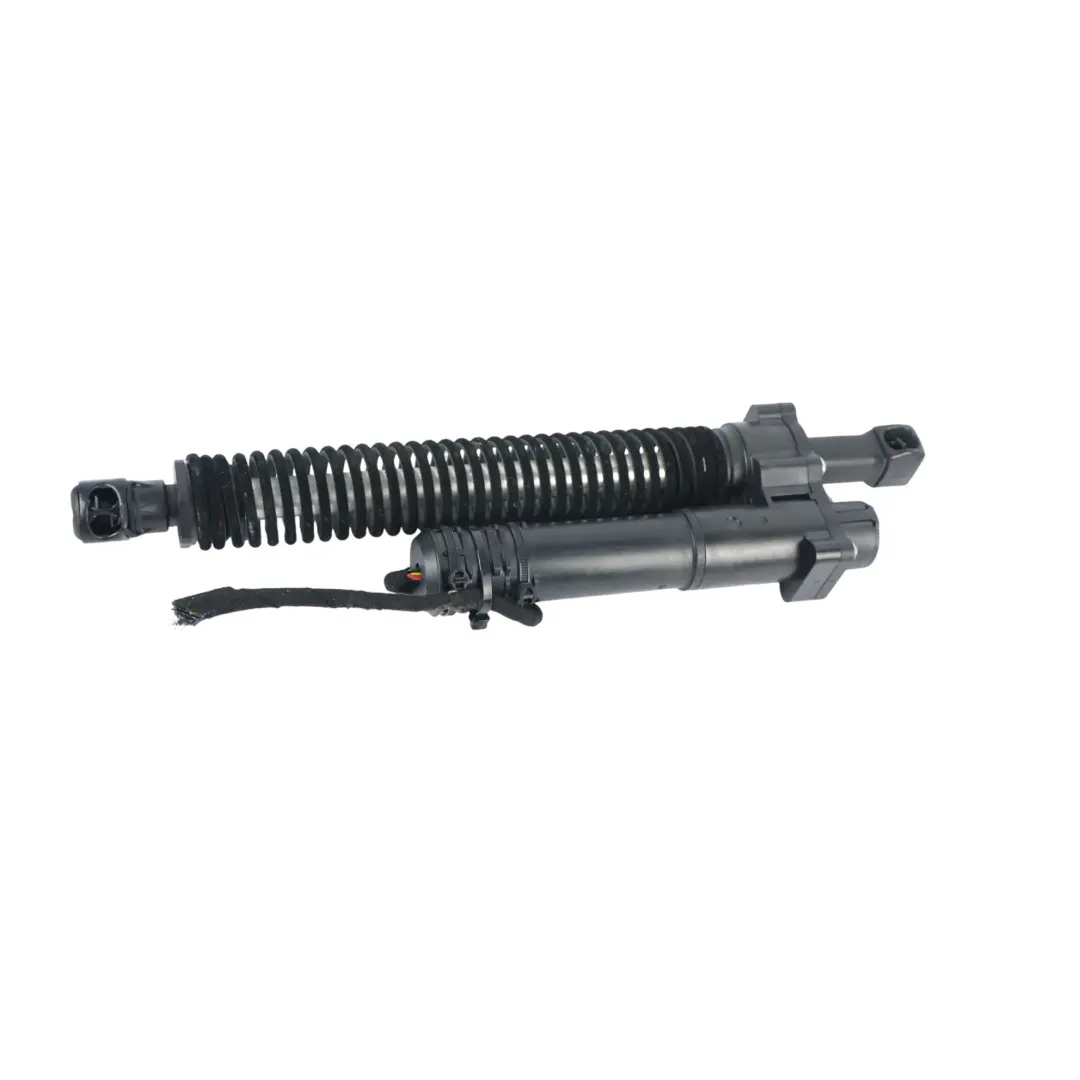 BMW F10 Accionamiento Husillo Automático Portón Trasero Izquierdo - SKU 7373438-1 - Número de pieza 7373438