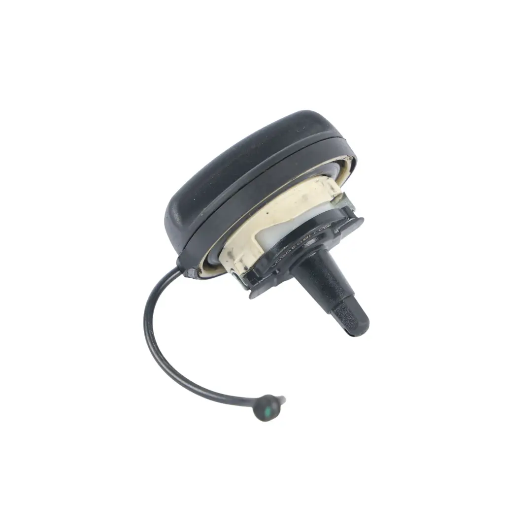 BMW X3 F25 X4 F26 Diesel Fuel Filler Tank Cap Screw - SKU 7468994 - Part number 7468994