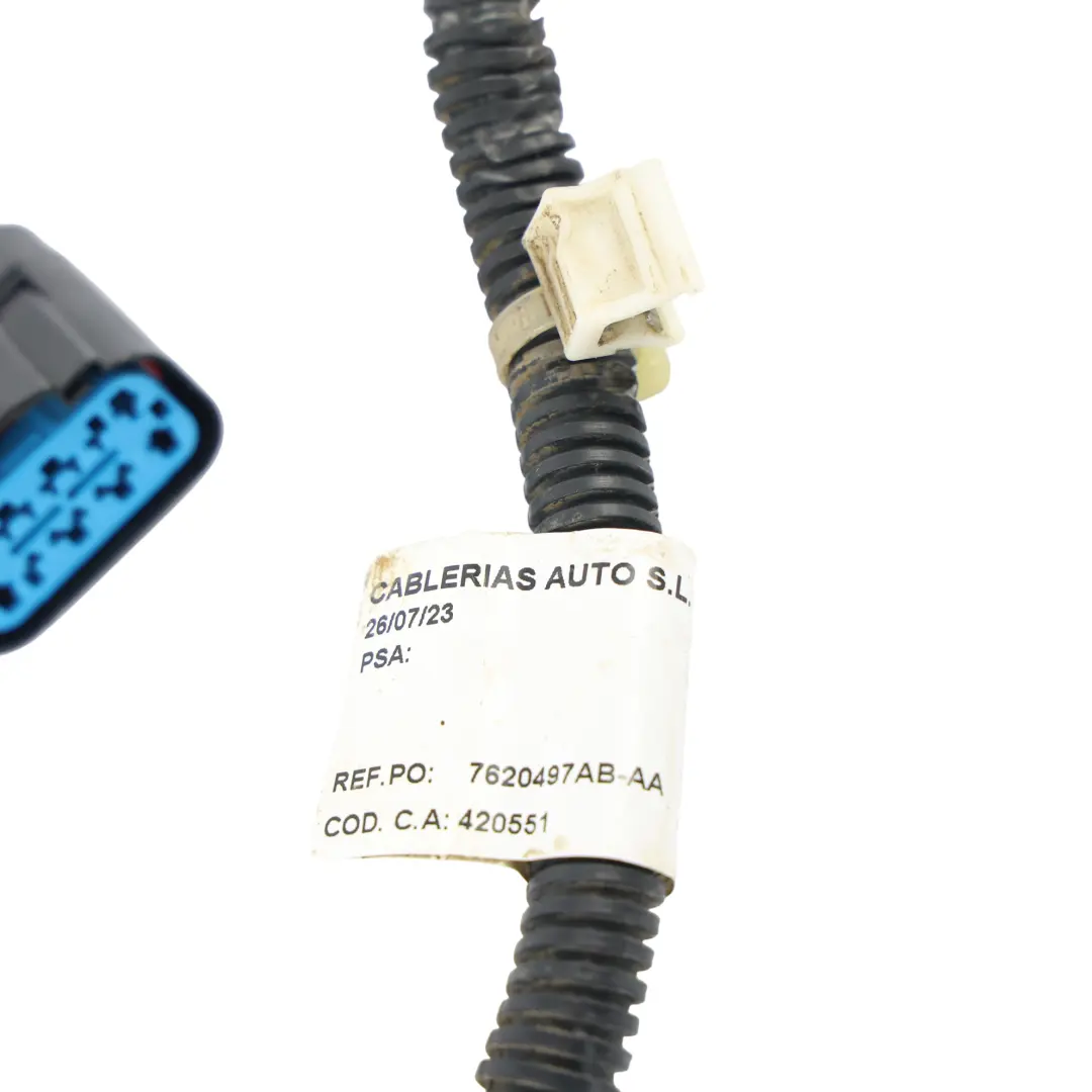  Citroen Jumper III Peugeot Boxer Ducato Kabelbaum AA - SKU 7620497AB - Teilenummer 7620497AB