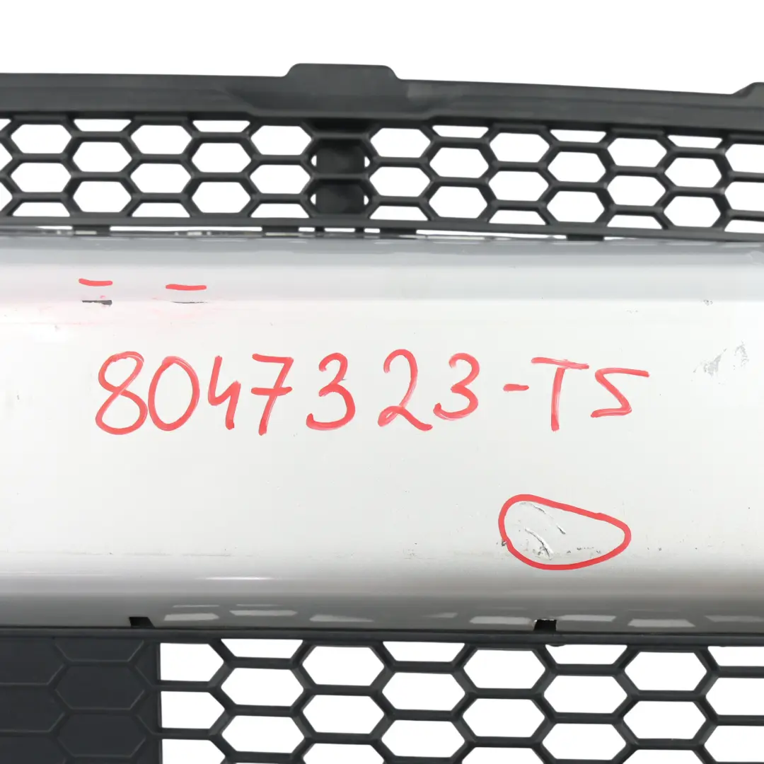 Bumper Front M Sport Trim Panel Grille Titansilber Metallic - 354 to BMW X5 E70 LCI with Part number 8047323 BMW X5 E70 LCI Bumper Front M Sport Trim Panel Grille Titansilber Metallic - 354 - SKU 8047323-TS - Part number 8047323