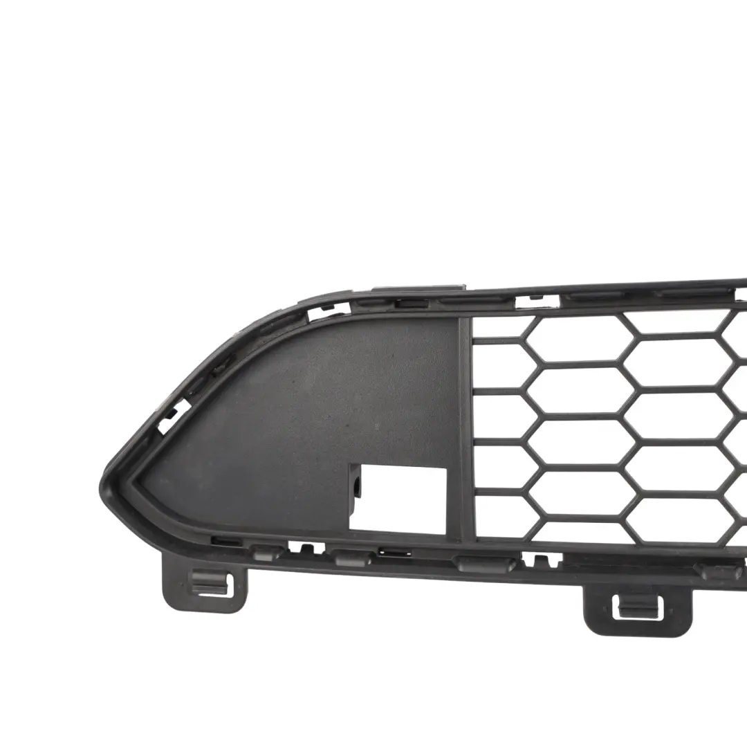 BMW X5 F15 M Sport Front Bumper Grille Lower Middle Grill Grid Trim - SKU 8054012 - Part number 8054012