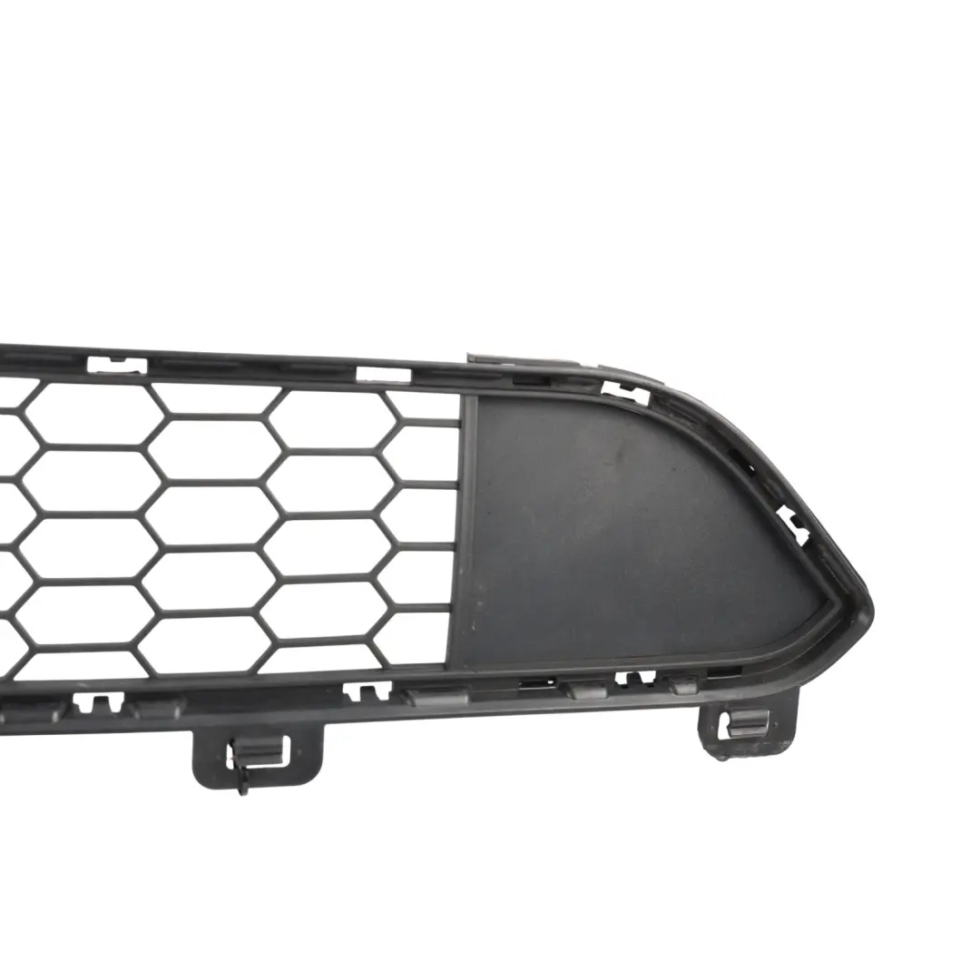 Front Bumper Grille Lower Middle Grill Grid Trim to BMW X5 F15 M Sport with Part number 8054012 BMW X5 F15 M Sport Front Bumper Grille Lower Middle Grill Grid Trim - SKU 8054012 - Part number 8054012