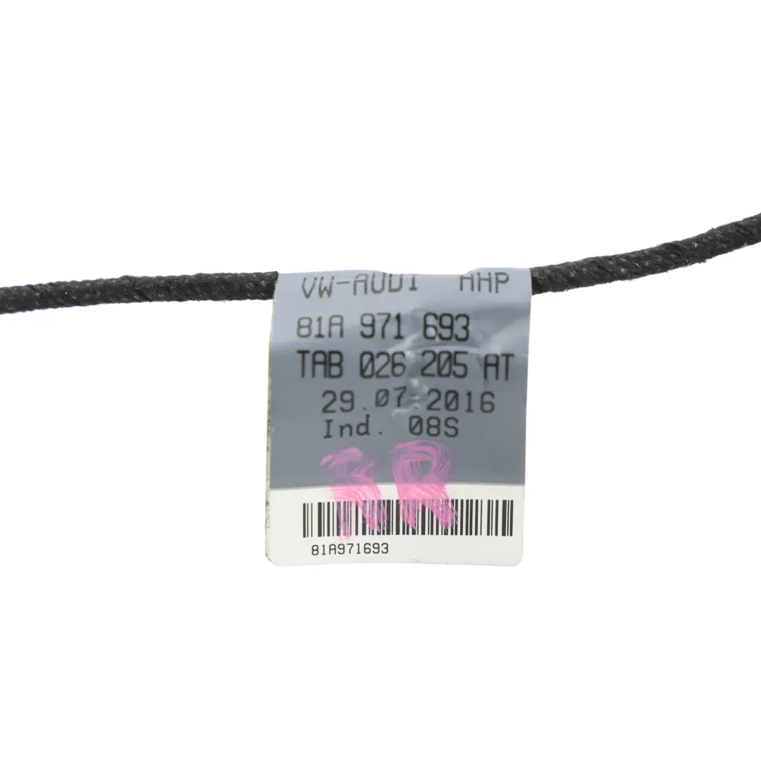 Cablaggio Porta Posteriore Sinistro Destro per Audi Q2 con numero di parte 81A971693 Audi Q2 Cablaggio Porta Posteriore Sinistro Destro - SKU 81A971693 - Numero di parte 81A971693