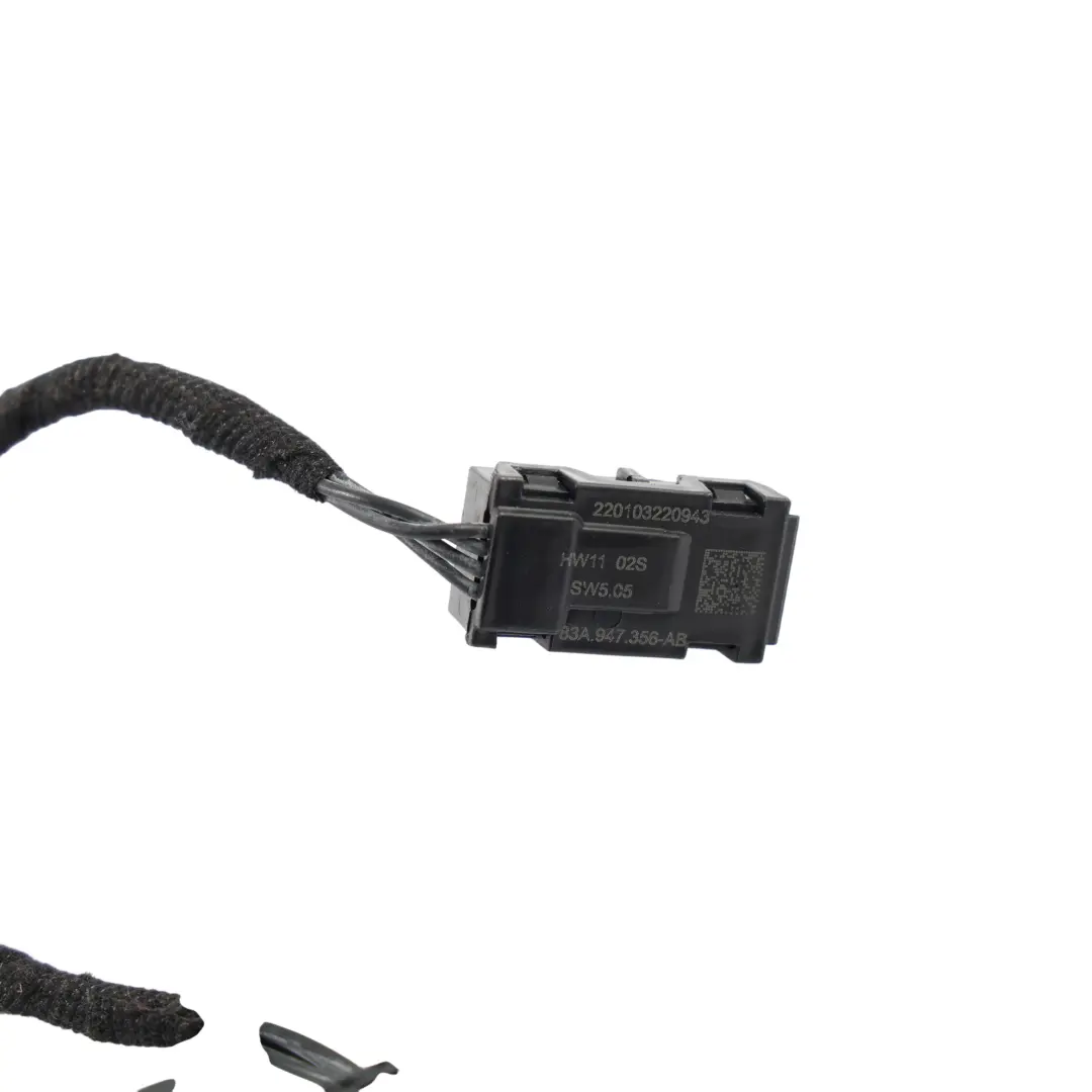 RSQ3 F3 Módulo LED Control Iluminación Puerta Delantera Derecha para Audi con número de pieza 83A947356AB Audi RSQ3 F3 Módulo LED Control Iluminación Puerta Delantera Derecha - SKU 83A947356AB - Número de pieza 83A947356AB