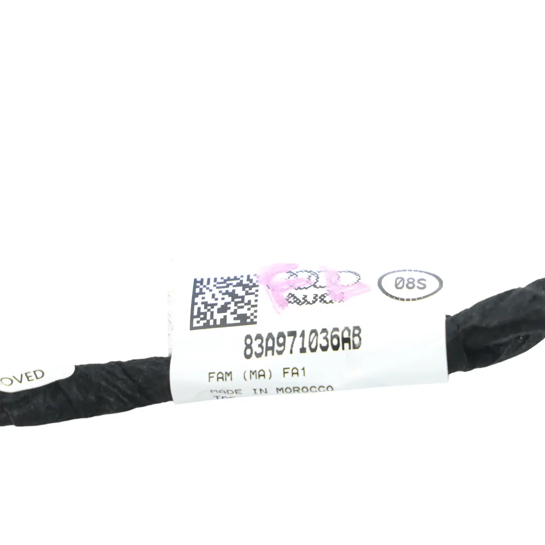 Cableado Arnés Puerta Delantera Pasajero para Audi Q3 F3 con número de pieza 83A971036AB Audi Q3 F3 Cableado Arnés Puerta Delantera Pasajero - SKU 83A971036AB - Número de pieza 83A971036AB