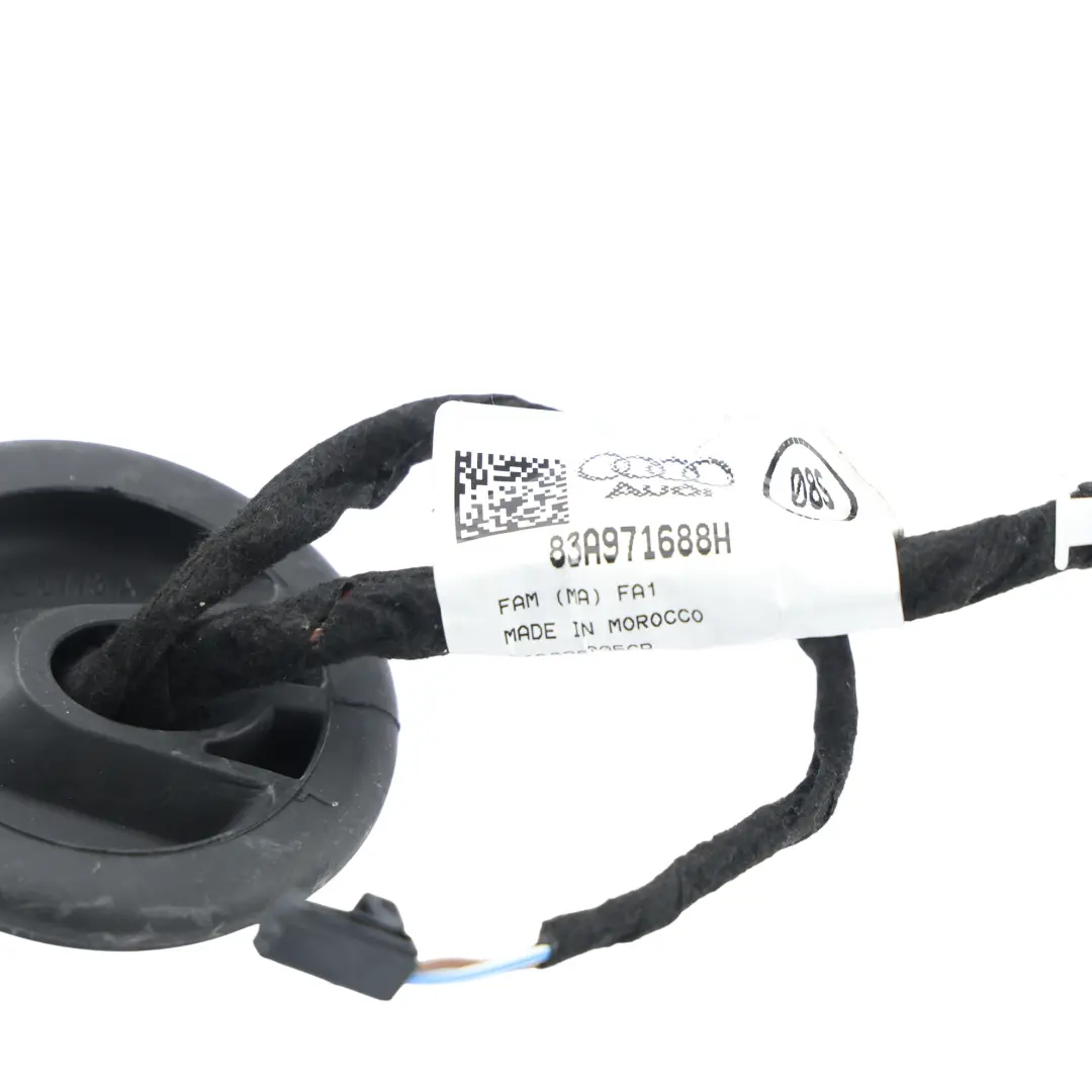 RSQ3 F3 Cableado Arnés Puerta Trasera Derecha para Audi Q3 con número de pieza 83A971688H Audi Q3 RSQ3 F3 Cableado Arnés Puerta Trasera Derecha - SKU 83A971688H - Número de pieza 83A971688H