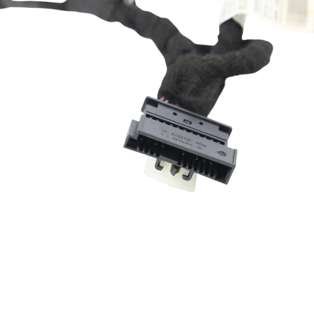 BMW G20 Faisceau Câblage Porte Avant LED Côté Passager - SKU 8716602 - Numéro de pièce 8716602