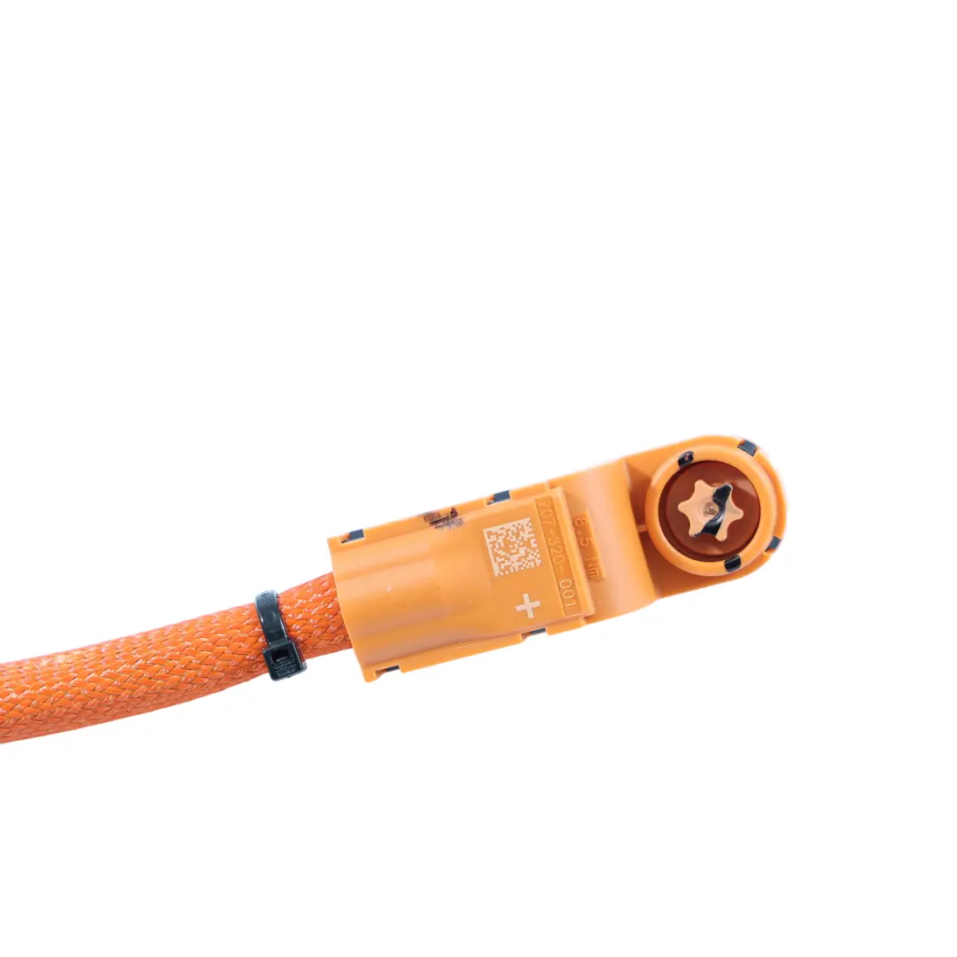 Câble Connecteur Module Batterie Haute Tension pour BMW X1 U11 à propos du numéro de pièce 8844292 BMW X1 U11 Câble Connecteur Module Batterie Haute Tension - SKU 8844292 - Numéro de pièce 8844292